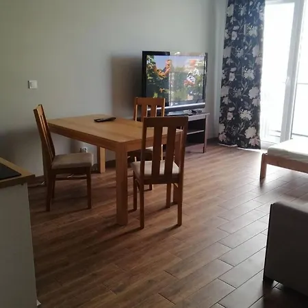 Komfortowy Dla Turystów I Pracowników Apartament